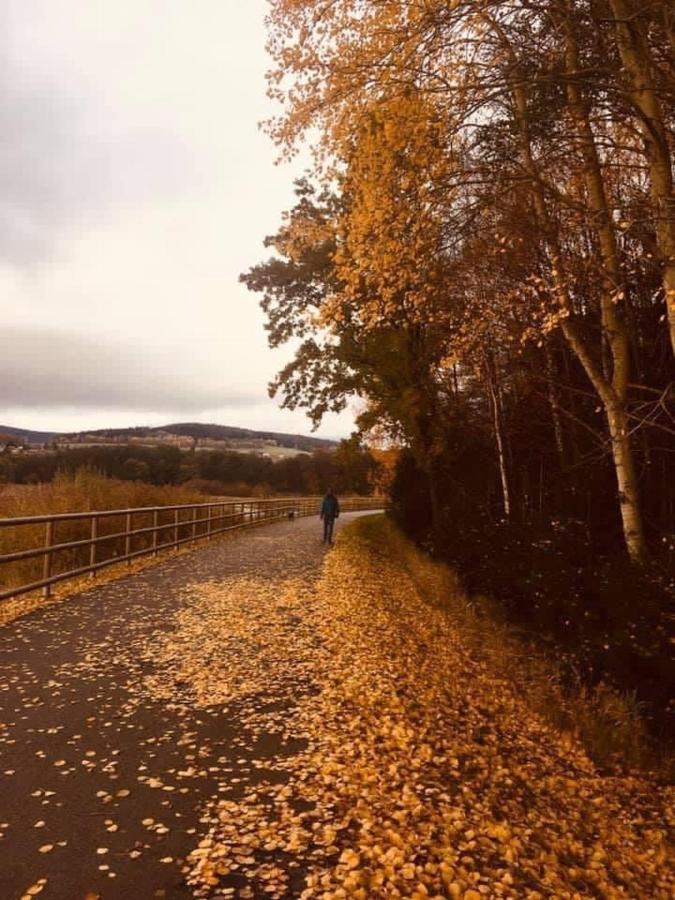 Apartmany Srub Jenisov Horní Planá Eksteriør billede